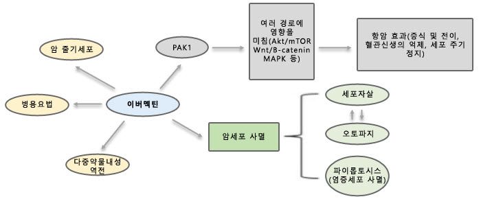 이버멕틴 작동 기전