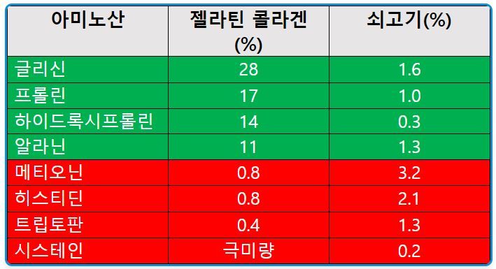 젤라틴/콜라겐과 붉은 육류(소고기)의 아미노산 비율