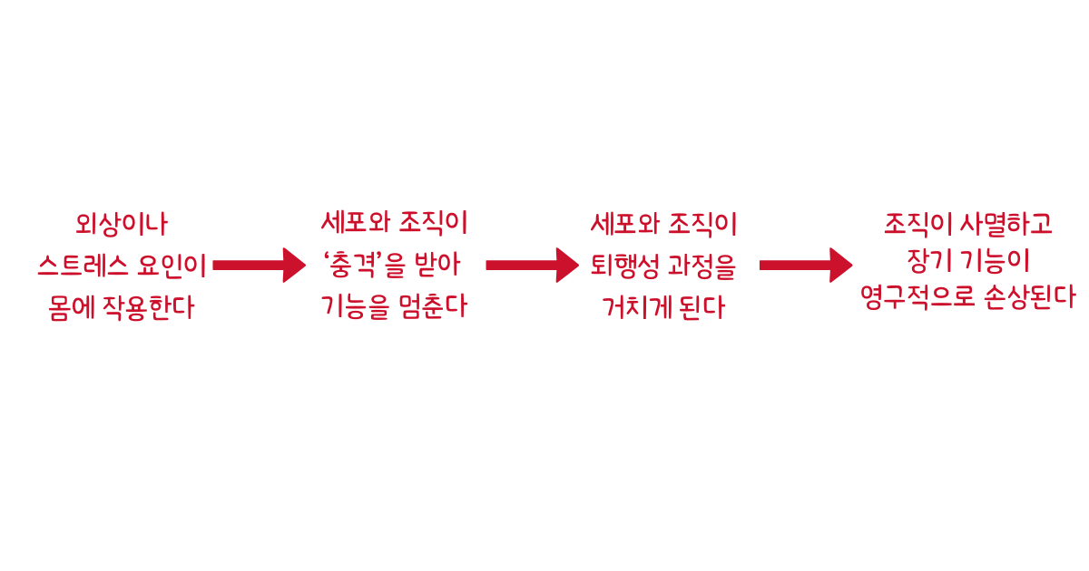 질병의 근본 원인