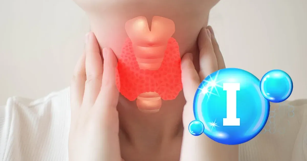 과도한 아이오딘 섭취가 갑상선 건강을 무너뜨리는 방법과 이를 바로잡기 위한 해법