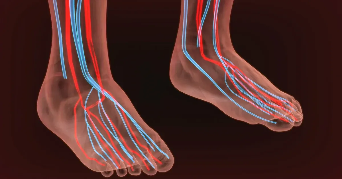 신경 건강을 회복하는 당뇨성 신경병증 통합적 해법