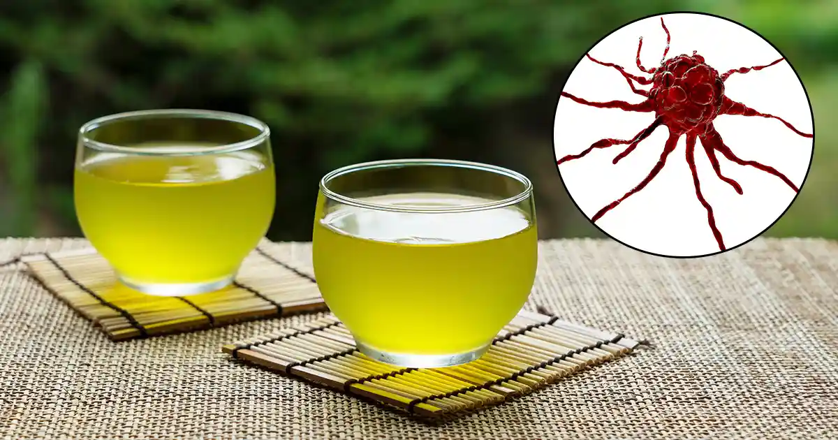 녹차, 암에 맞서 새로운 희망을 제시하다