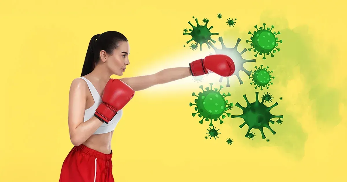 햇빛이 면역 체계를 강화하는 원리를 밝힌 연구