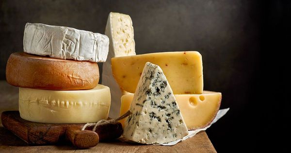 치즈는 건강한 식단의 일부가 될 수 있을까요?