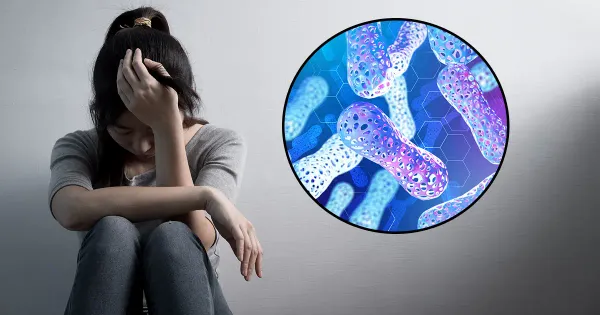 프로바이오틱스가 주요 우울 장애를 완화할 수 있나요?