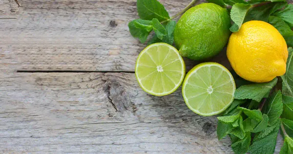 레몬이 건강과 가정에 도움이 되는 13가지 이상의 방법