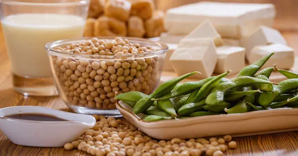 발효되지 않은 콩 제품의 위험성은 무엇일까요?