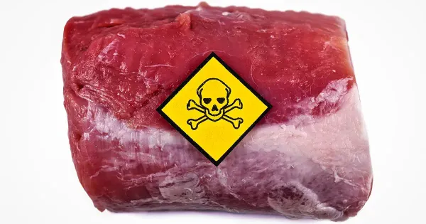 돼지고기 산업에서 사용하는 일반적인 약물이 인체 암 위험을 초래합니다