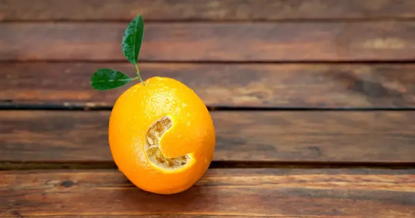 70년 동안 숨겨져 있던 비타민 C 효능의 재발견