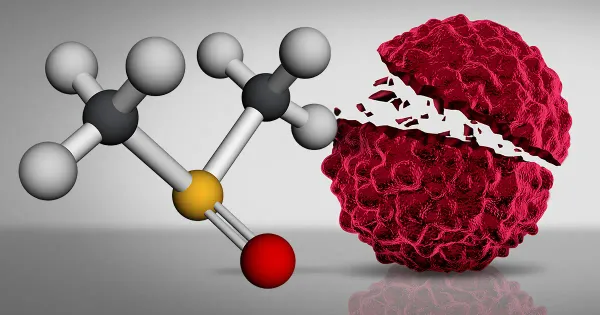DMSO(다이메틸 설폭사이드)의 효능, 용도 및 부작용