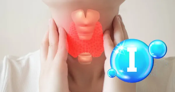 과도한 아이오딘 섭취가 갑상선 건강을 무너뜨리는 방법과 이를 바로잡기 위한 해법
