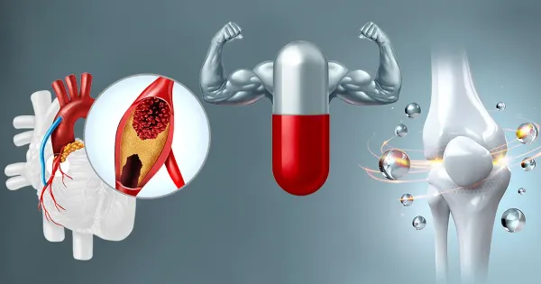 비타민 K2가 인체 건강에 미치는 광범위한 역할