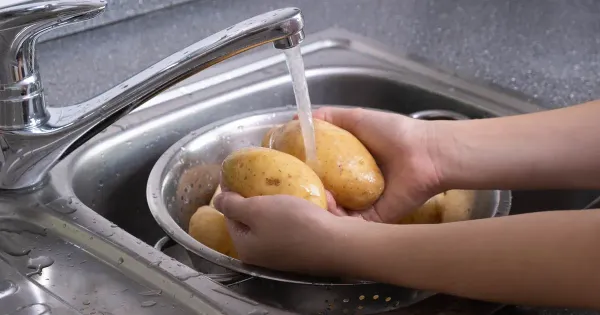 오염을 방지하려면 먼저 감자를 씻어야 한다