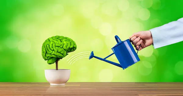 흙을 파는 것이 뇌를 보호하는 데 도움이 되는 이유