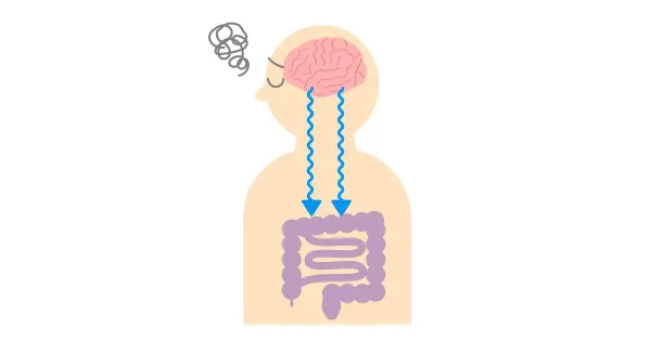 음식 섭취와 연관된 IBS에서 심리적 스트레스는 어떤 역할을 하는가?